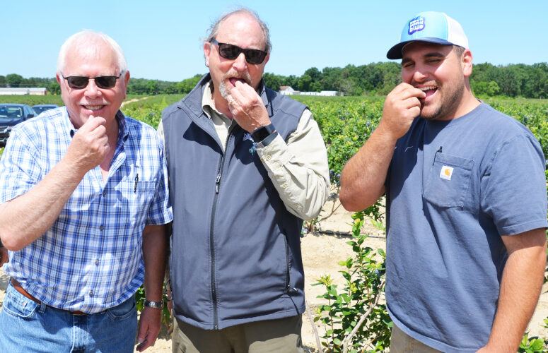 Macrie Brothers Blueberry Farm